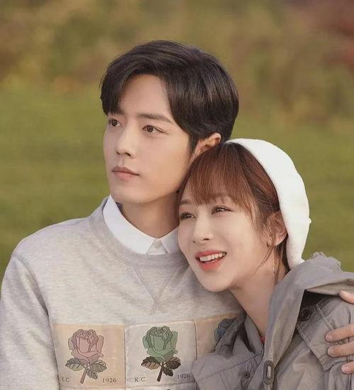 杨紫和肖战最新爆料最新,揭秘幕后故事，精彩瞬间抢先看