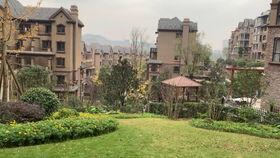 龙湖最新爆料事件视频